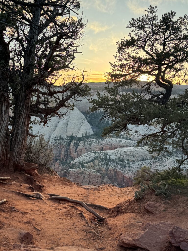 Zion Nationalpark