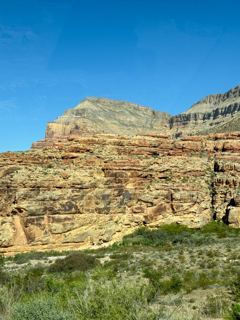 Arizona