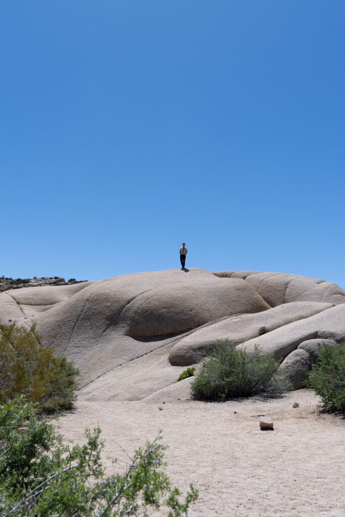 Joshua Tree