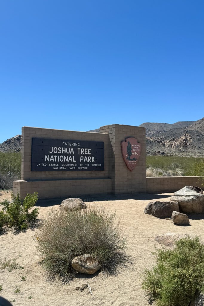 Joshua Tree