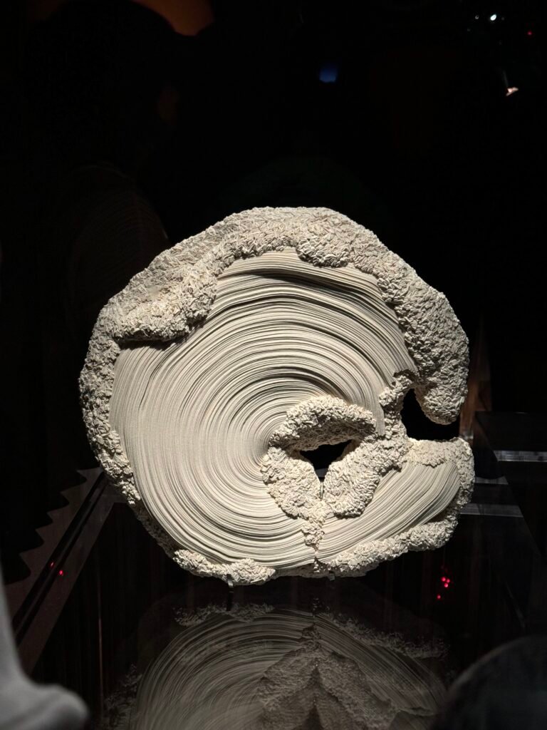 Palastmuseum