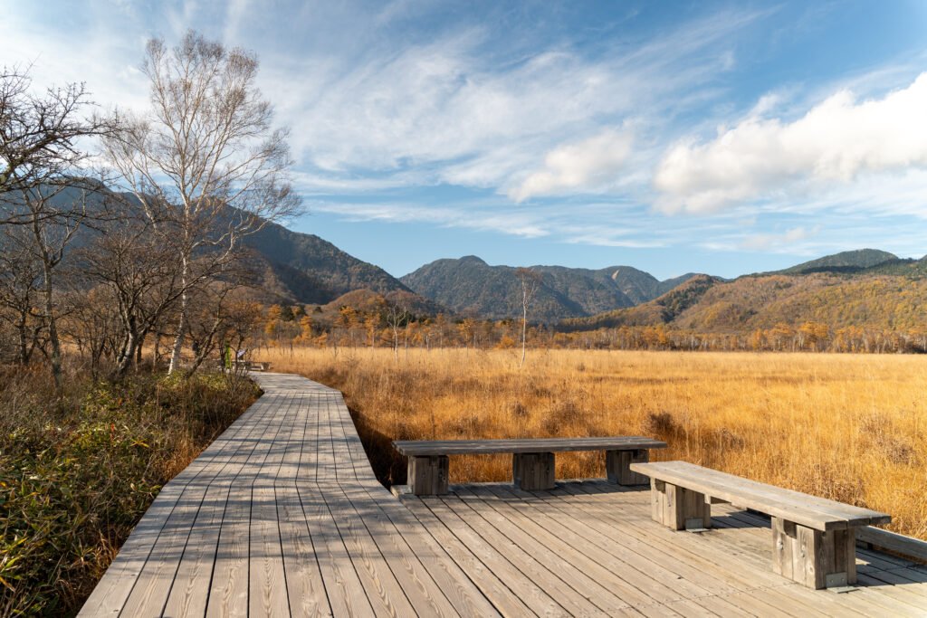 Nikko